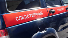 В Тольятти возбудят уголовное дело из-за травмирования школьницы