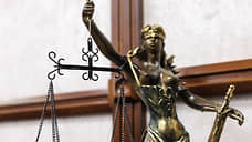 Вынесен приговор по делу о гибели подростка на стройплощадке в Тольятти