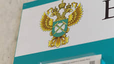 В Самарской области чиновники нарушили закон на торгах по аренде участка с дамбой