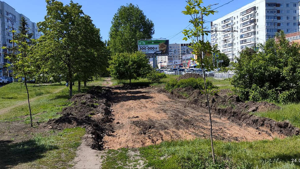 Строительство и вырубка деревьев в зоне "зеленого пояса" Ульяновска  запрещены