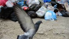 В Ульяновской области возбуждено дело из-за свалок отходов