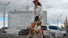 В Оренбуржье с 1 июля владельцы собак обязаны регистрировать своего питомца