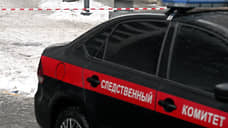 Следствие опровергло информацию о втором возможном сообщнике Екатерины Тарховой