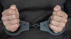 В Ульяновске вынесен приговор по делу о поджоге трех авто на 10 млн рублей