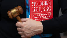 В Ульяновске направляют в суд дело участника ток-шоу, истязавшего экс-супругу
