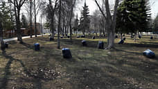 Загородный парк в Самаре переведут на баланс одного из областных министерств
