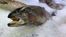 В Самарской области грузовик протаранил рыбный магазин