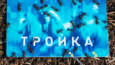 В Самаре начали тестировать карту «Тройка» для оплаты проезда