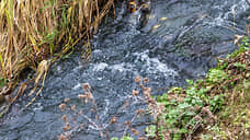 В Самарской области чиновники разрешили складировать в лесу жидкие отходы