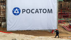 Строителям атомного реактора в Димитровграде начали выплачивать зарплату