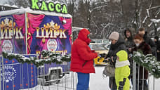 Цирку-шапито, находящемуся на гастролях в Самаре, выдали предостережение