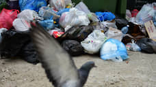 Депутат Госдумы РФ попросил ФАС и прокуратуру проверить тарифы на ТКО в Самарской области