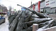 В Оренбурге с декабря начнут работать 17 елочных базаров