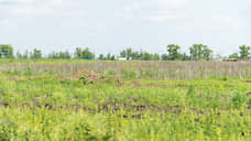 В Оренбуржье через суд расторгли договоры купли-продажи двух муниципальных участков