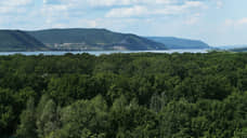 В Самарской области причинен ущерб лесному хозяйству на 1,3 млн рублей с начала года