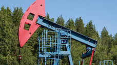 Пять компаний подали заявку на участок с запасами нефти в Самарской области