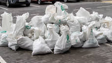 В Самарской области нарушителей  сфере обращениями с отходами оштрафовали на 2,6 млн рублей