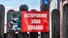 В Ульяновске по факту нападения собаки на ребенка возбуждено уголовное дело