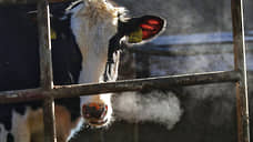 В Самарской области выявили нарушения на 17 животноводческих объектах