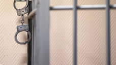 В Самарской области 318 лиц привлекли к уголовной ответственности за коррупцию