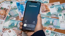 Мошенники стали выманивать накопления граждан через «декларирование» наличных