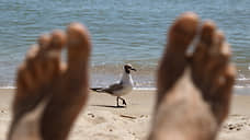 Туристка хочет получить компенсацию после нападения птиц на курорте в Оренбуржье