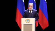 Губернаторские мэры