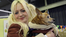 «Друг человека-2025»