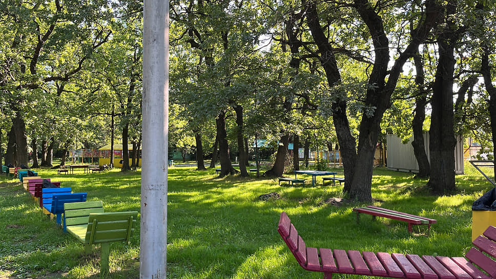 Лагерь Дубки является одним из самых зеленых в Саратове