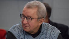 «Разница цен на бензин на сетевых и частных заправках может достигать десятков рублей»