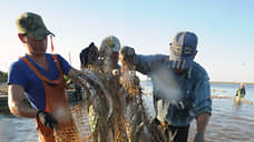 Рыбы и зрелищ!