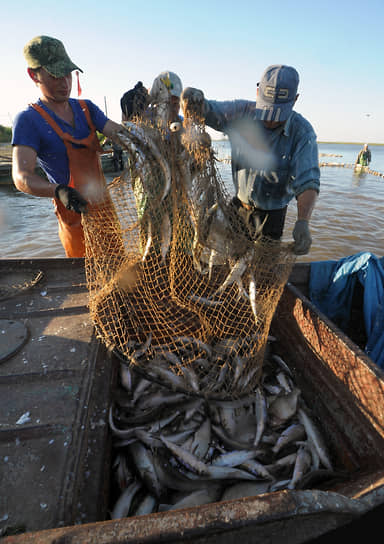 Росрыболовство хочет запретить ловить рыбу в Астраханской области во время майских праздников