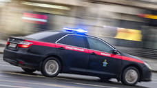 СКР начал проверку после нападения двух собак на пенсионерку в Сочи