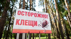 Число обращений по поводу укусов клещей в Сочи сократилось на 17% за год