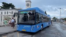 В Сочи запустили круглосуточный автобус до аэропорта