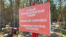 В Сочи объявили высокий уровень пожароопасности