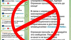 Мэрия Сочи предупредила о Telagram-каналах с ложной информацией об угрозе БПЛА