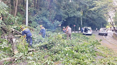 В Сочи объявлена угроза атаки беспилотников ВСУ