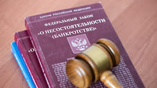 Владельцы лифтовой компании «Южная Столица» из Сочи планируют ее банкротство