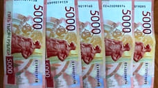 В аэропорту Сочи изъяли 500 тысяч рублей у пассажира