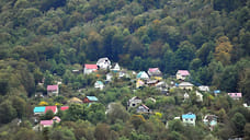 Сочи возглавил топ направлений для отдыха рядом с лесом