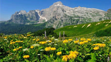 Нацпарк Сочи летом принял более 2,2 млн человек