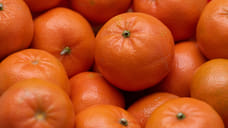 Теплая погода ускорила начало мандаринового сезона в Абхазии