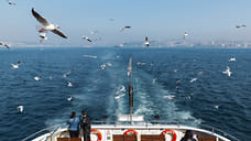 Губернатор Кубани назвал запуск парома между Сочи и Трабзоном преждевременным