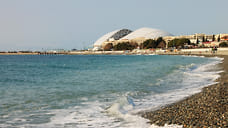 Холодноводные виды Черного моря оказались под угрозой из-за потепления