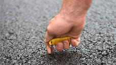 Ремонт Новороссийского шоссе в Сочи завершат к июню 2026 года