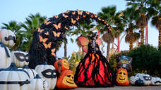 Сочи возглавил топ направлений для отдыха на Черном море