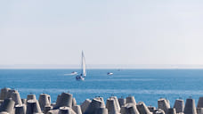 В Сочи представили новые решения для сейсмозащиты и укрепления берега