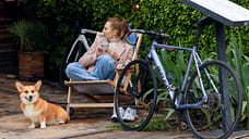 Сочи и Краснодар разделили топ направлений для отдыха с питомцами