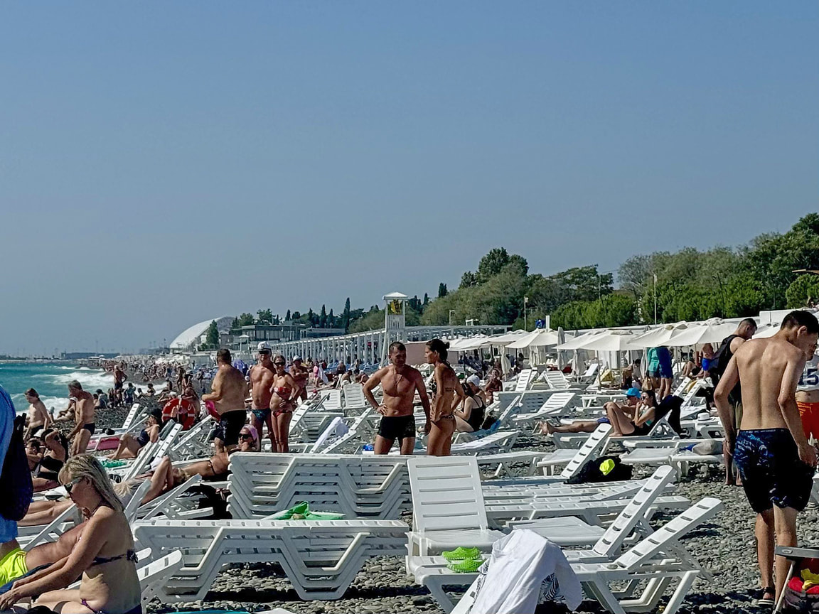 Больше всего туристов приехали в Сочи и «Сириус» из Москвы — 34% от всех гостей